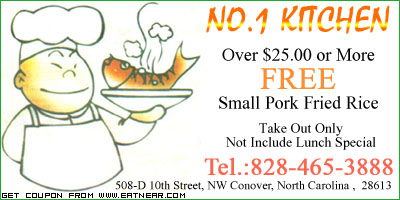 FREE Small Pork Fried Rice