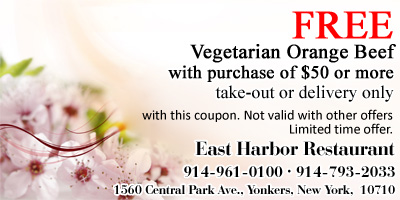 Free One Vegetarian Orange Beef