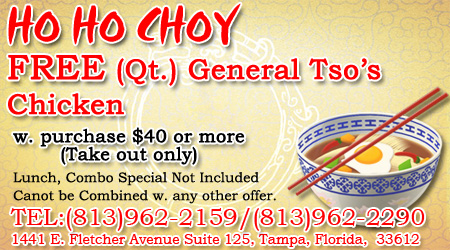 FREE (Qt.) General Tso