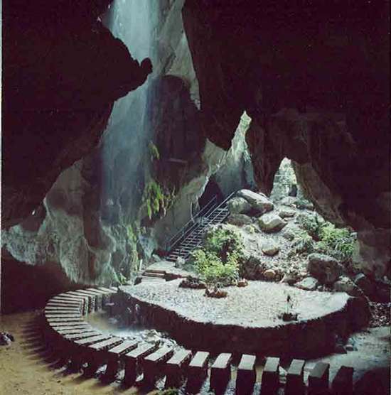 Dragon Palace8 Dragon Palace8