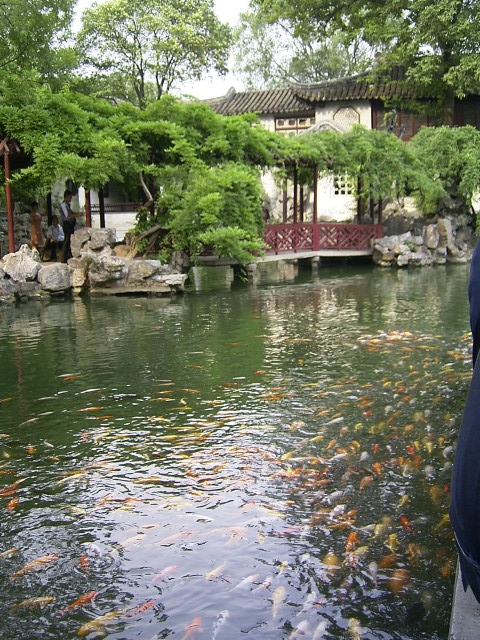 the Lingering Garden2 the Lingering Garden2