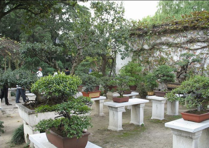 photo of the Lingering Garden16