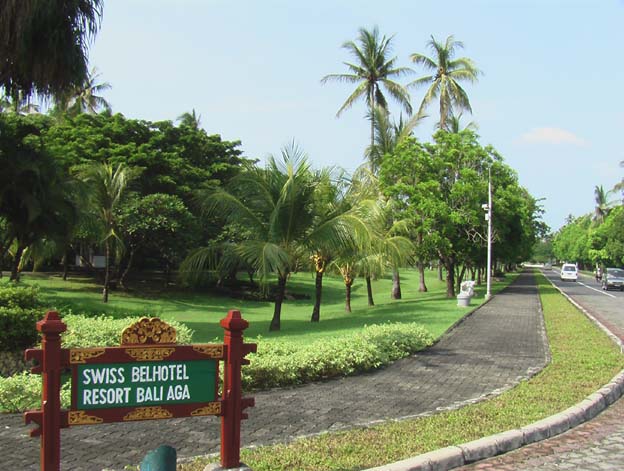 Bali Picture