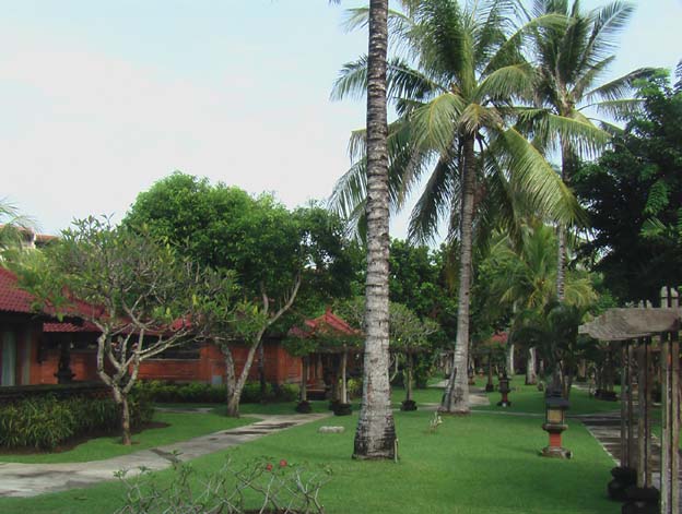 Bali Picture