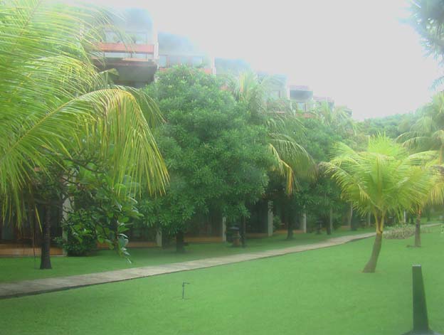Bali Picture