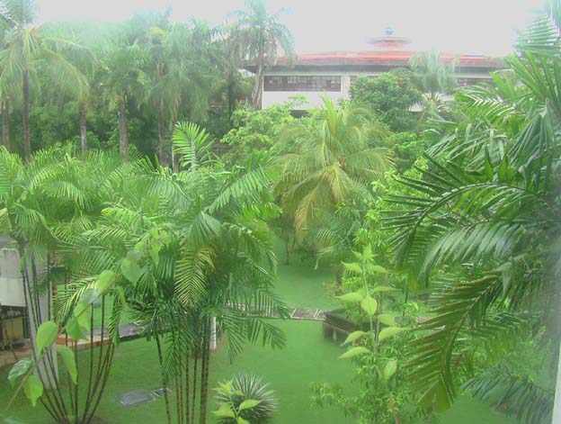 Bali Picture