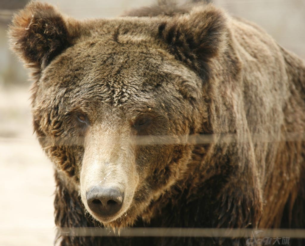 Qinhuangdao Wild Animal Zoo4 Qinhuangdao Wild Animal Zoo4