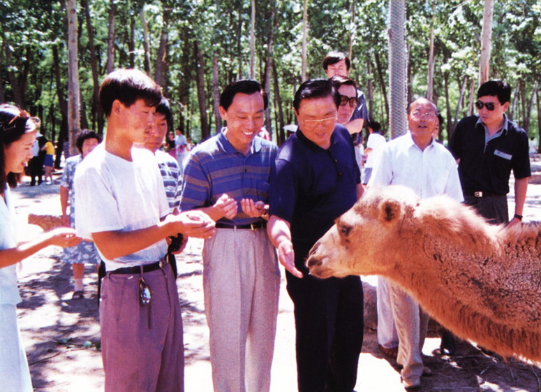 Qinhuangdao Wild Animal Zoo7 Qinhuangdao Wild Animal Zoo7