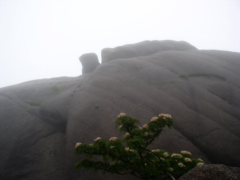 Mountain Huangshan Mountain Huangshan
