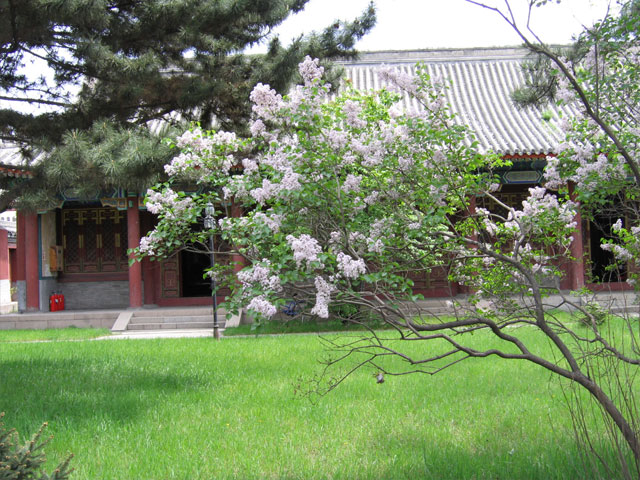the Confucian Temple6 the Confucian Temple6