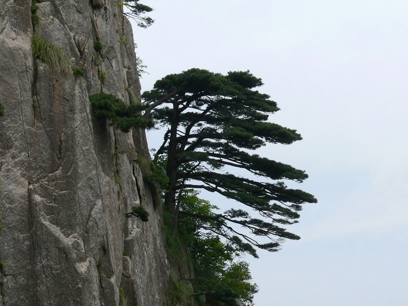 Mountain Huangshan Mountain Huangshan