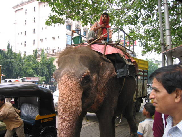 photo of Taj Mahal
