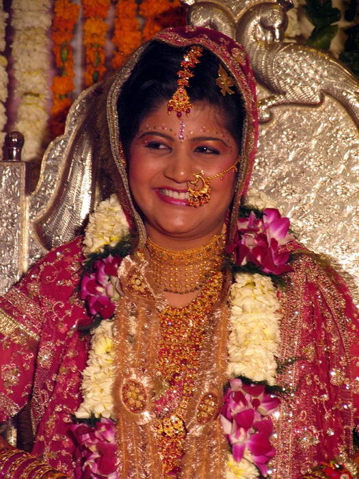 Indian Wedding Party Indian Wedding Party
