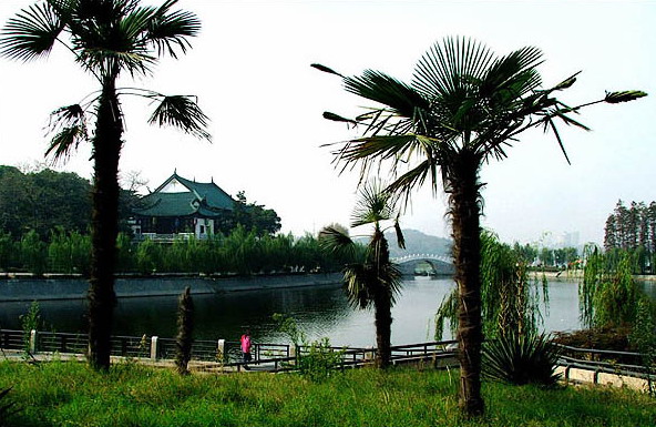 photo of Ancient Lute Pavilion15