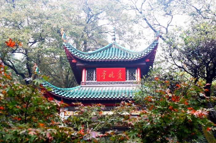 photo of Aiwan Pavilion6