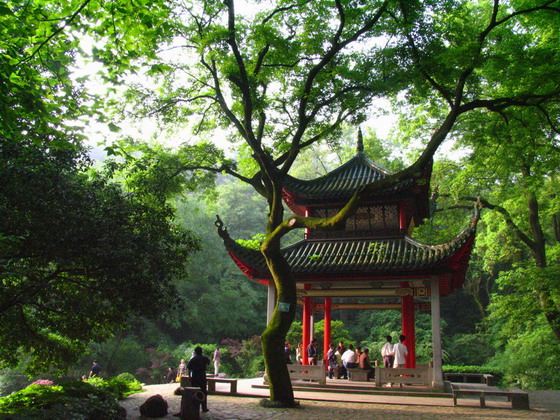 photo of Aiwan Pavilion7