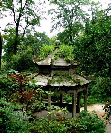 photo of Mountain Yuelu1