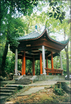 photo of Mountain Yuelu4