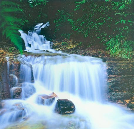 photo of Mountain Yuelu10