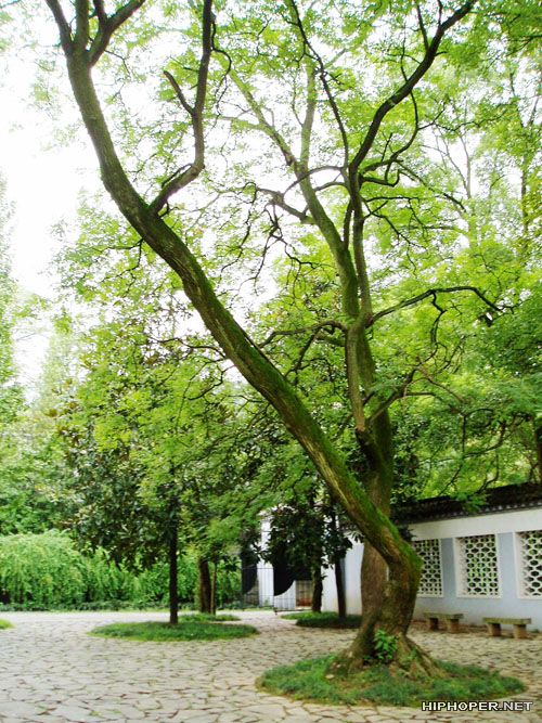 Yuelu Academy8 Yuelu Academy8