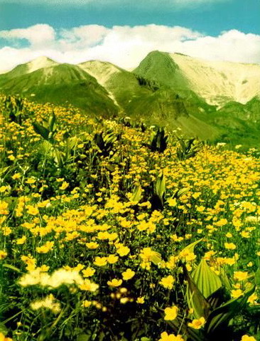 Mountain Changbai9 Mountain Changbai9