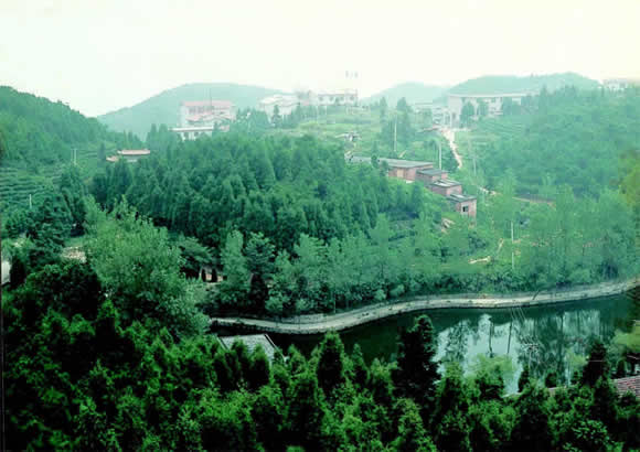 Mountain Meiling Scenic Area2 Mountain Meiling Scenic Area2