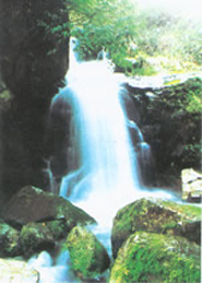 Mountain Meiling Scenic Area7 Mountain Meiling Scenic Area7