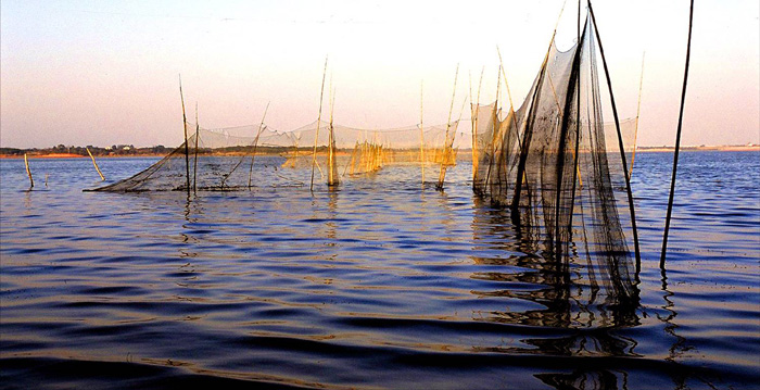 Poyang Lake14 Poyang Lake14