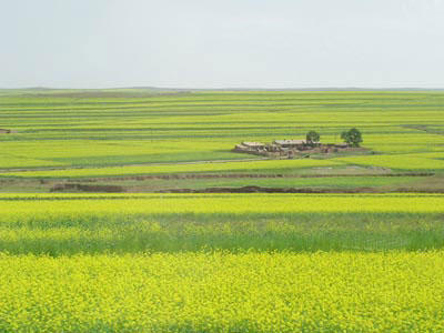 Gegentala Grassland3 Gegentala Grassland3