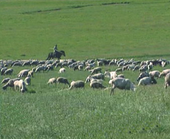 photo of Gegentala Grassland4