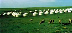 Gegentala Grassland7 Gegentala Grassland7