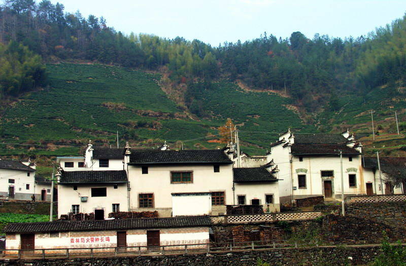 Hongcun Village Hongcun Village