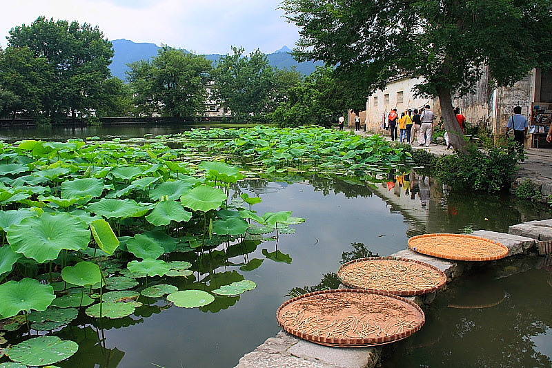 Hongcun Village Hongcun Village