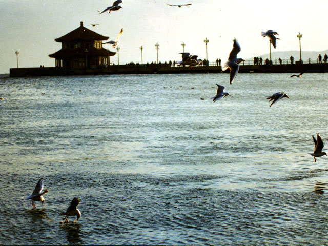 Seashore Scenic Area of Jiaodong Peninsula1 Seashore Scenic Area of Jiaodong Peninsula1