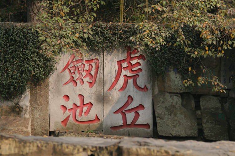 photo of Tiger Mountain