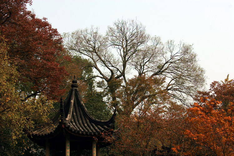photo of The Huqiu