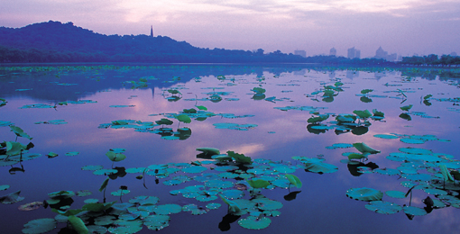 West Lake Scenic Zone8 West Lake Scenic Zone8