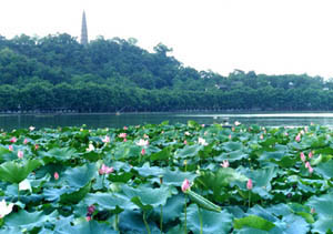 West Lake Scenic Zone10 West Lake Scenic Zone10