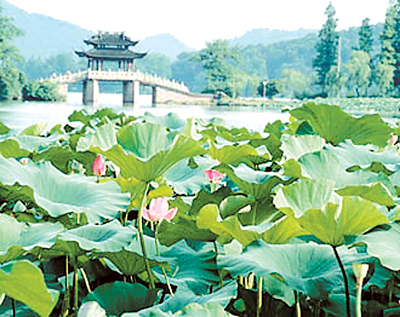West Lake Scenic Zone12 West Lake Scenic Zone12