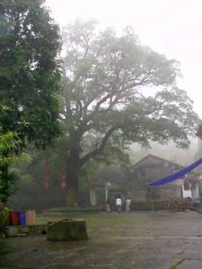 photo of Xianghu Tourist Holiday Resort1