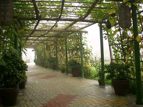 photo of Xianghu Tourist Holiday Resort2