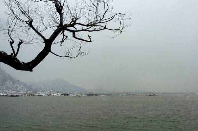 photo of Xianghu Tourist Holiday Resort5