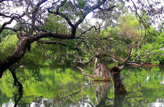 Yuquan Park6