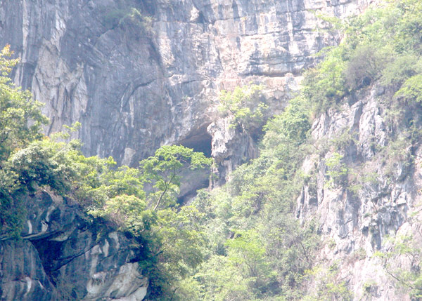 photo of Bailong Lake Scenic Area