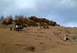 photo of Mountain Four Grils10