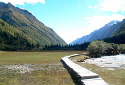 photo of Mountain Four Grils12