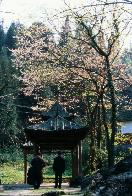 Mountain Tiantai Scenic Area9 Mountain Tiantai Scenic Area9