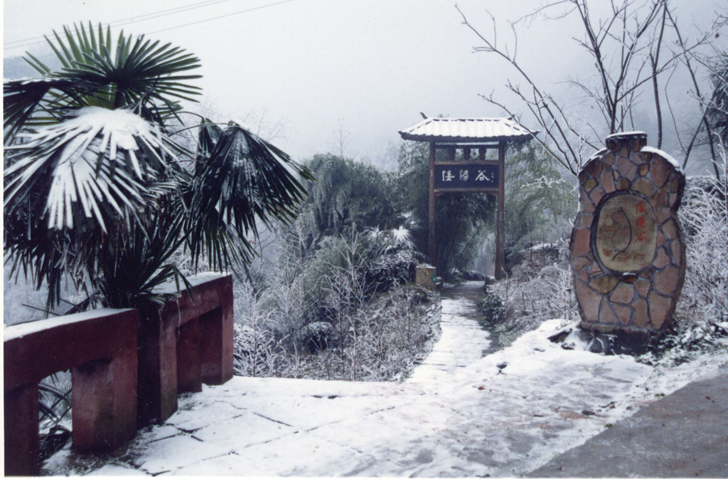 photo of Mountain Tiantai Scenic Area