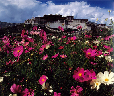 Potala Palace13 Potala Palace13