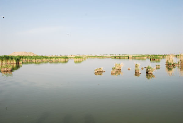 Sand Lake2 Sand Lake2